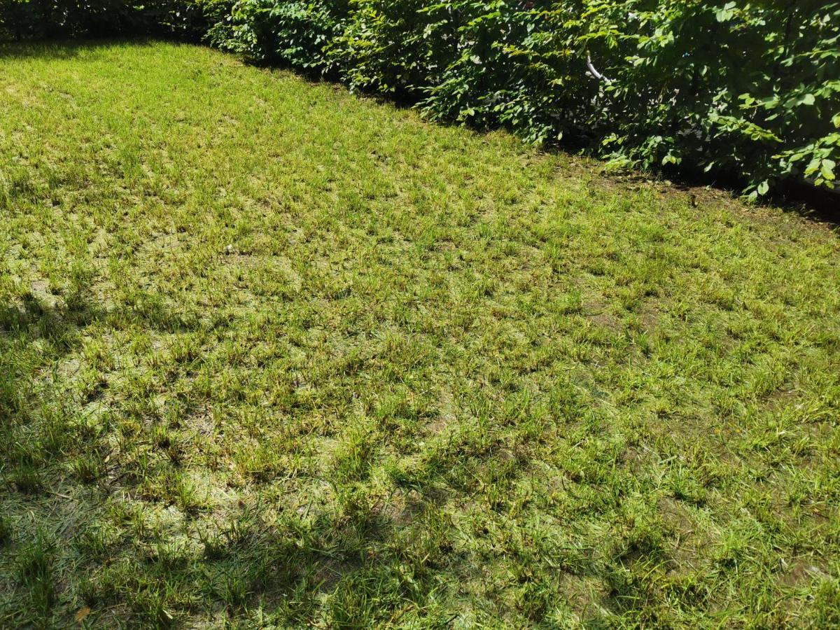 Apartment Near Fair And Central City In Few Min, With Garden Frankfurt am Main Luaran gambar